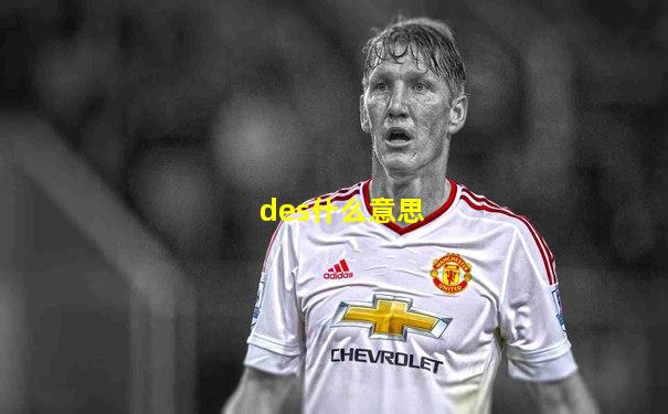 des什么意思
