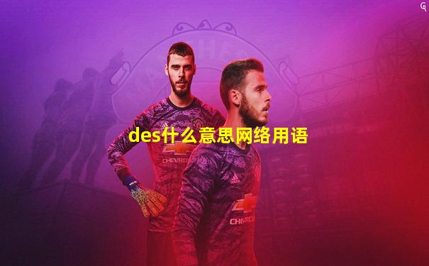 des什么意思网络用语