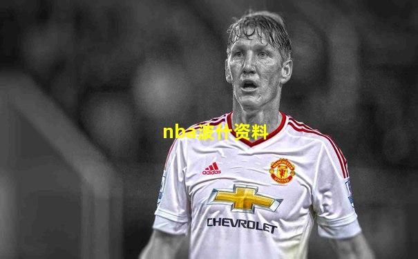 nba波什资料