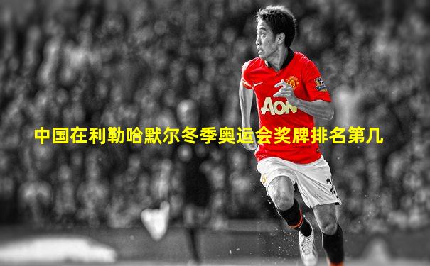 中国在利勒哈默尔冬季奥运会奖牌排名第几