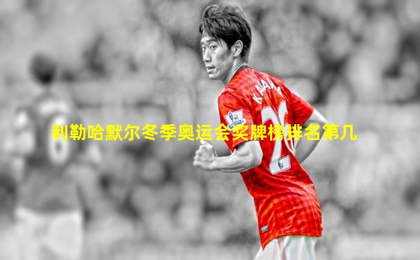 利勒哈默尔冬季奥运会奖牌榜排名第几