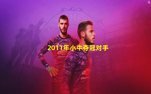 2011年小牛夺冠对手