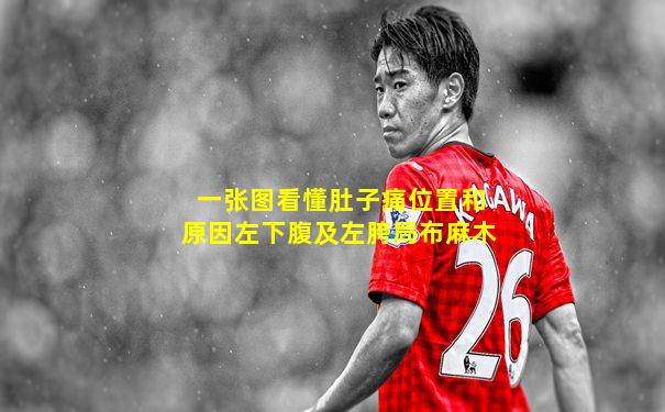 一张图看懂肚子痛位置和原因左下腹及左胯局布麻木