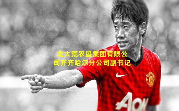 北大荒农垦集团有限公司齐齐哈尔分公司副书记