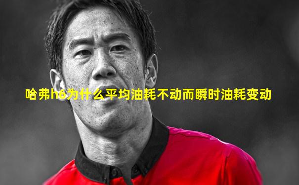 哈弗h6为什么平均油耗不动而瞬时油耗变动