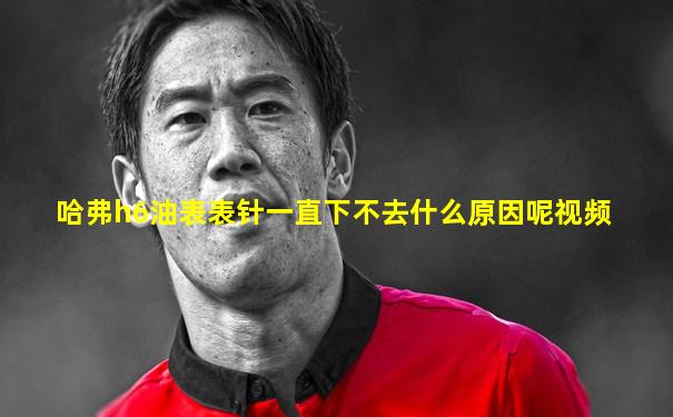 哈弗h6油表表针一直下不去什么原因呢视频