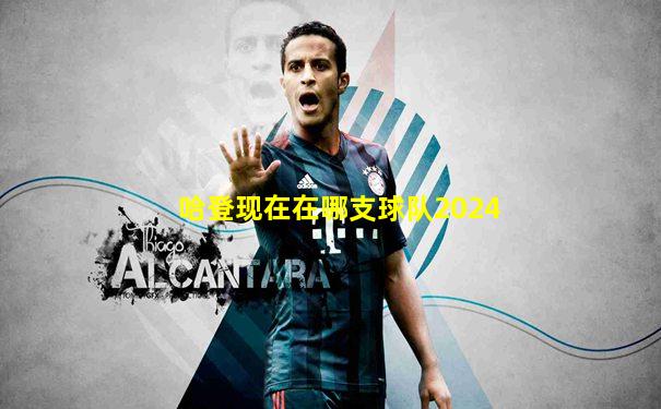 哈登现在在哪支球队2024