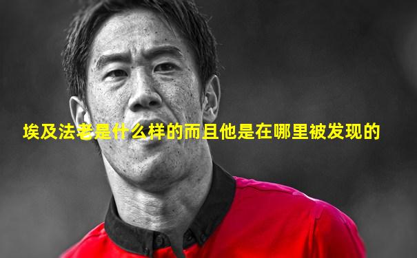 埃及法老是什么样的而且他是在哪里被发现的