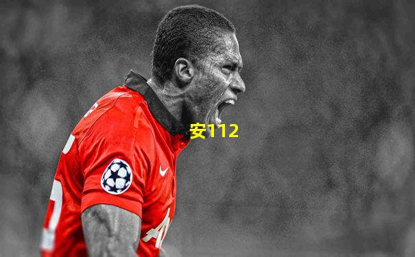 安112