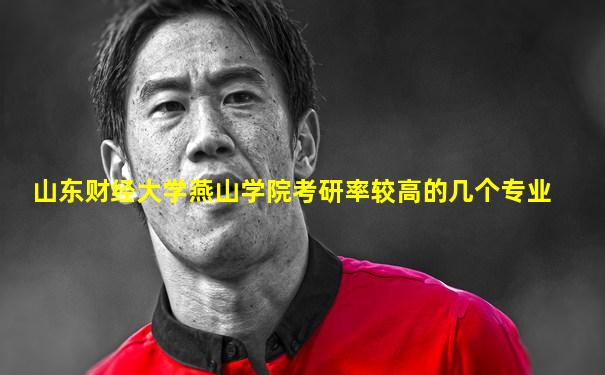 山东财经大学燕山学院考研率较高的几个专业