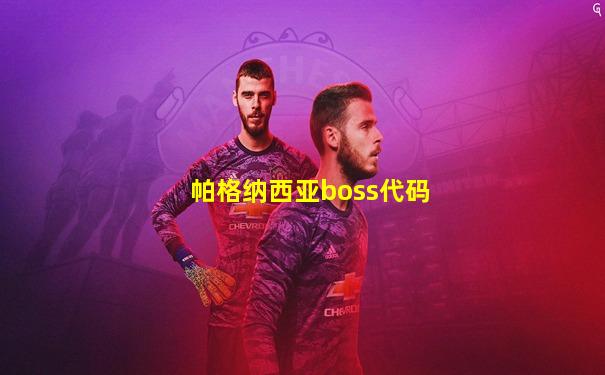帕格纳西亚boss代码