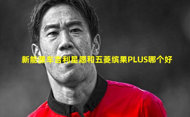 新能源车吉利星愿和五菱缤果PLUS哪个好