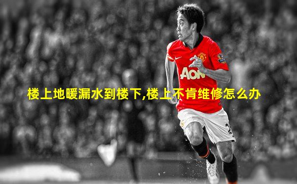 楼上地暖漏水到楼下,楼上不肯维修怎么办