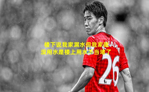 楼下说我家漏水但我家就没用水是楼上用水不当堵了