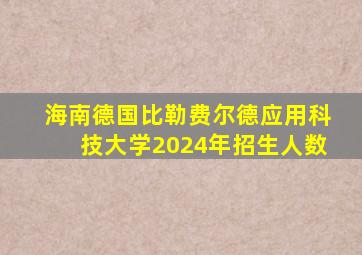 海南德国比勒费尔德应用科技大学2024年招生人数