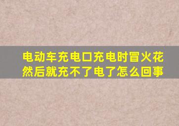 电动车充电口充电时冒火花然后就充不了电了怎么回事