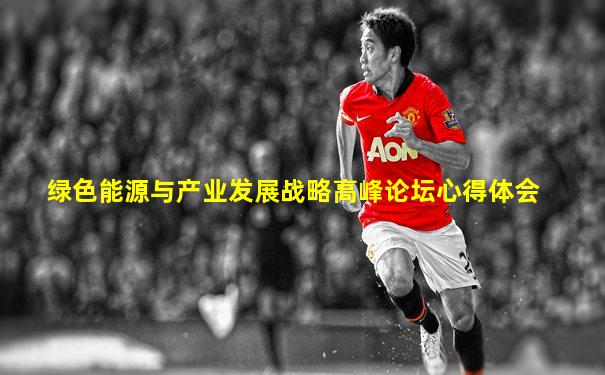 绿色能源与产业发展战略高峰论坛心得体会