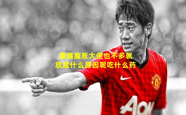 腹痛腹胀大便也不多就放屁什么原因呢吃什么药