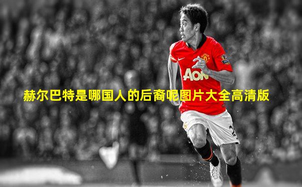 赫尔巴特是哪国人的后裔呢图片大全高清版