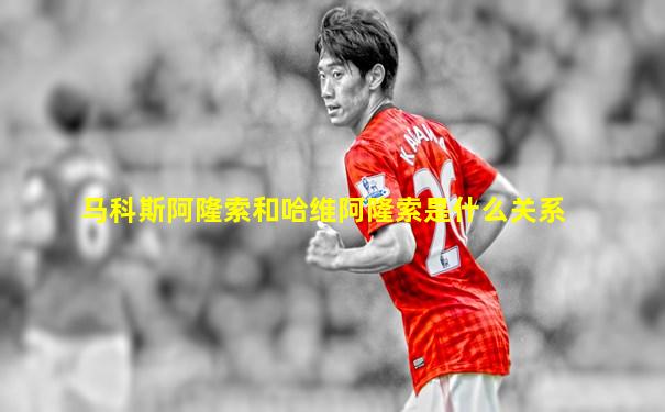 马科斯阿隆索和哈维阿隆索是什么关系